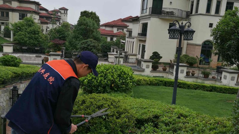 高速公路绿化隔离带：如何打造生态与美观并重的绿色屏障**