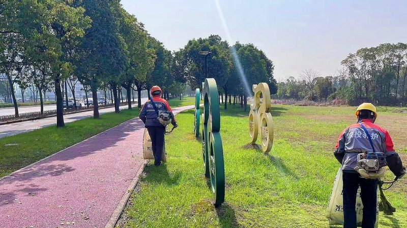 上海苗木批发市场探秘：如何找到优质苗木的源头**