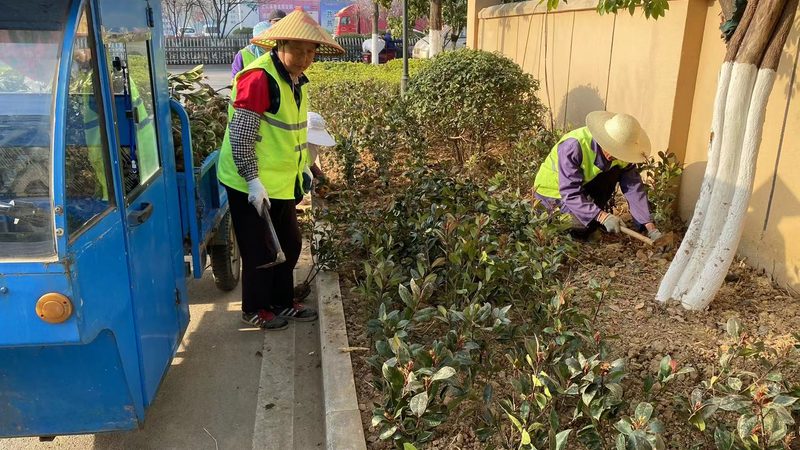 垂直绿化墙玻璃钢基材：如何提升城市绿化的立体空间利用**