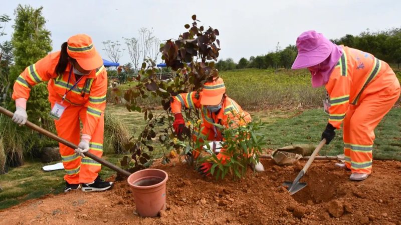 住宅小区绿化养护，如何确保绿色家园永葆生机？**