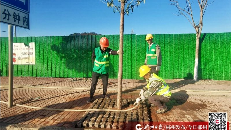厂区景观设计：规范与标准解析
