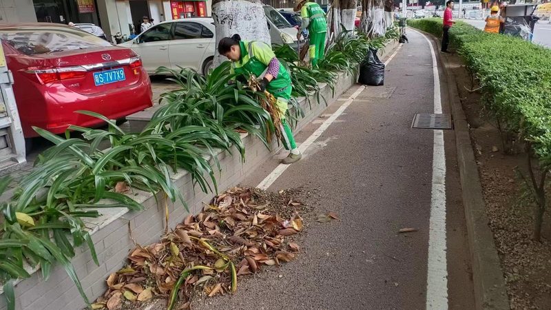 揭秘：假山喷泉厂家排名背后的秘密**
