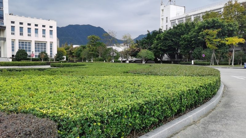 小区园林绿化设计：打造宜居生态空间的秘籍