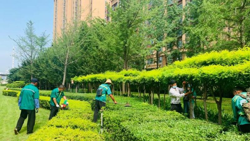 上海庭院假山鱼池设计尺寸：如何打造和谐自然的景观**